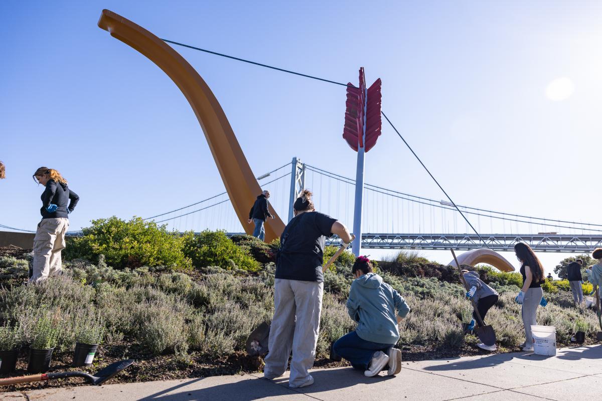 lw-2_1.jpg Volunteers At Rincon Park Cleaning