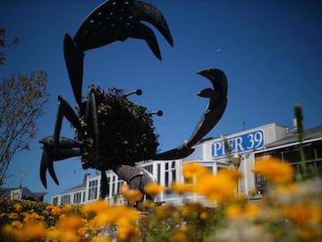 Crab Topiary at Pier 39