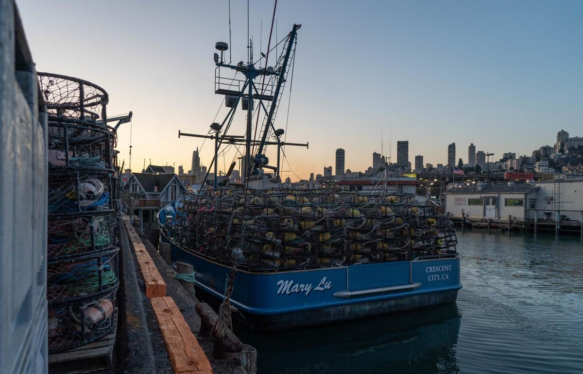 Fish nets on a commercial fishing vessel