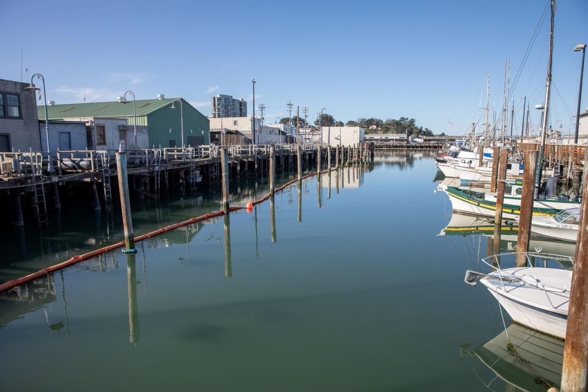 wharf_j9_.jpg Wharf J9