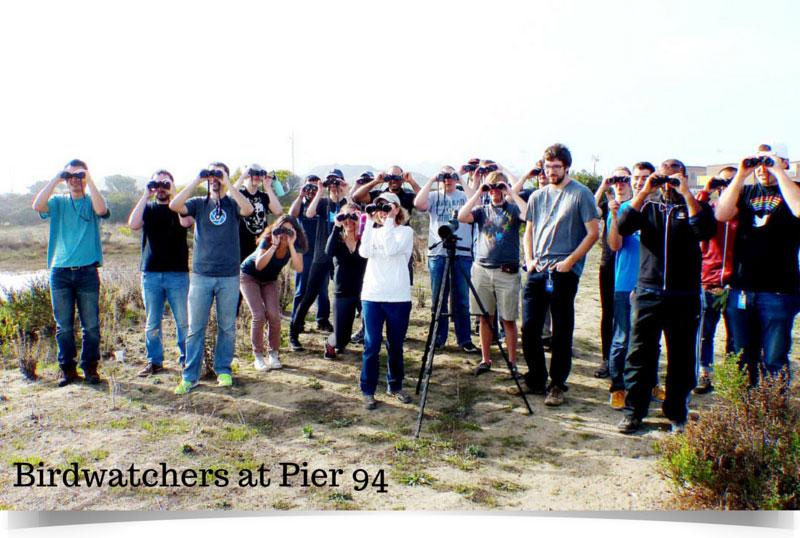 birdwatchers at pier 94