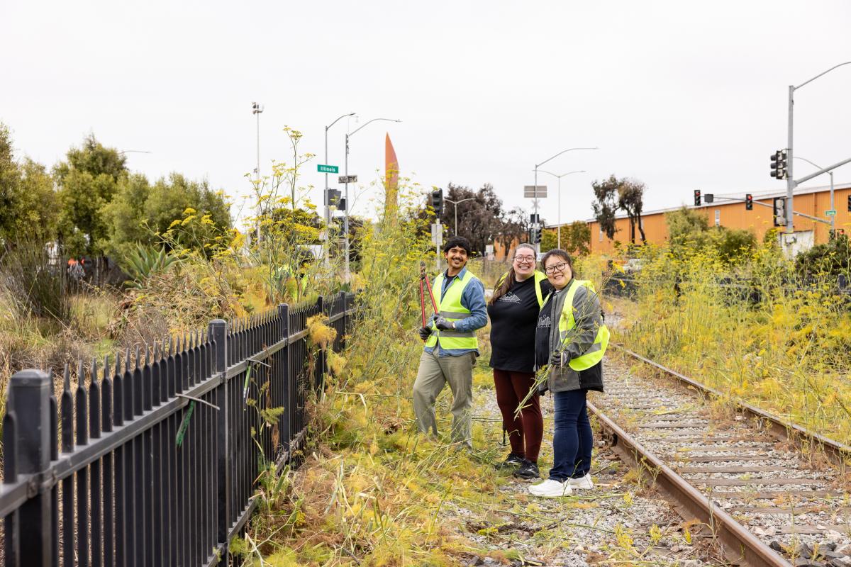 bayviewgateway-19_copy.jpg People clearing weeds along a fence line.