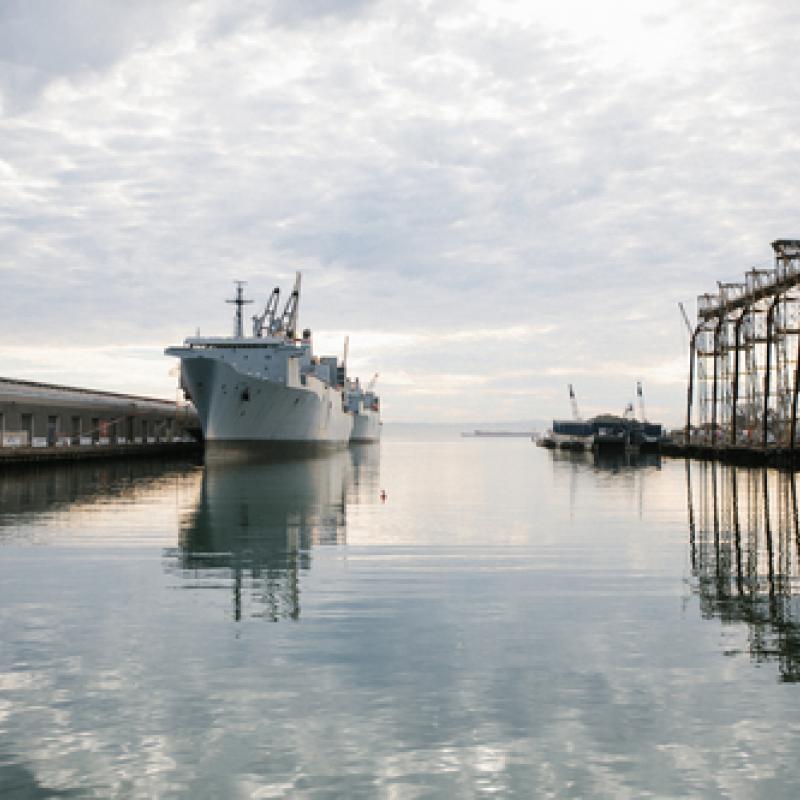 Cargo ships at Pier 80 and cranes