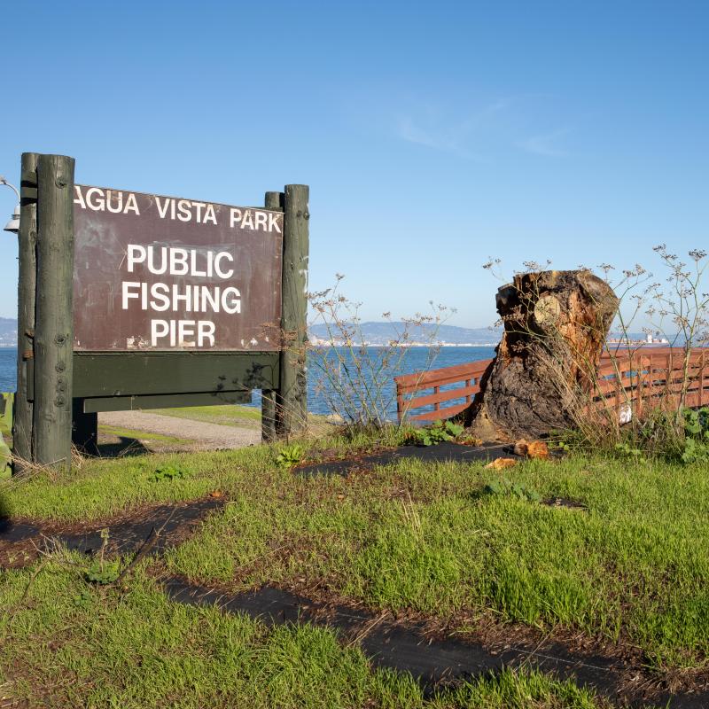 Public fishing pier at Agua Vista Park